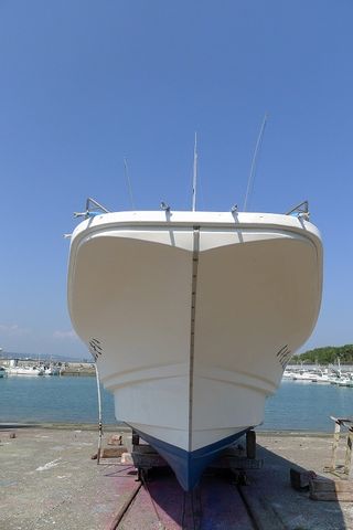 P1010526